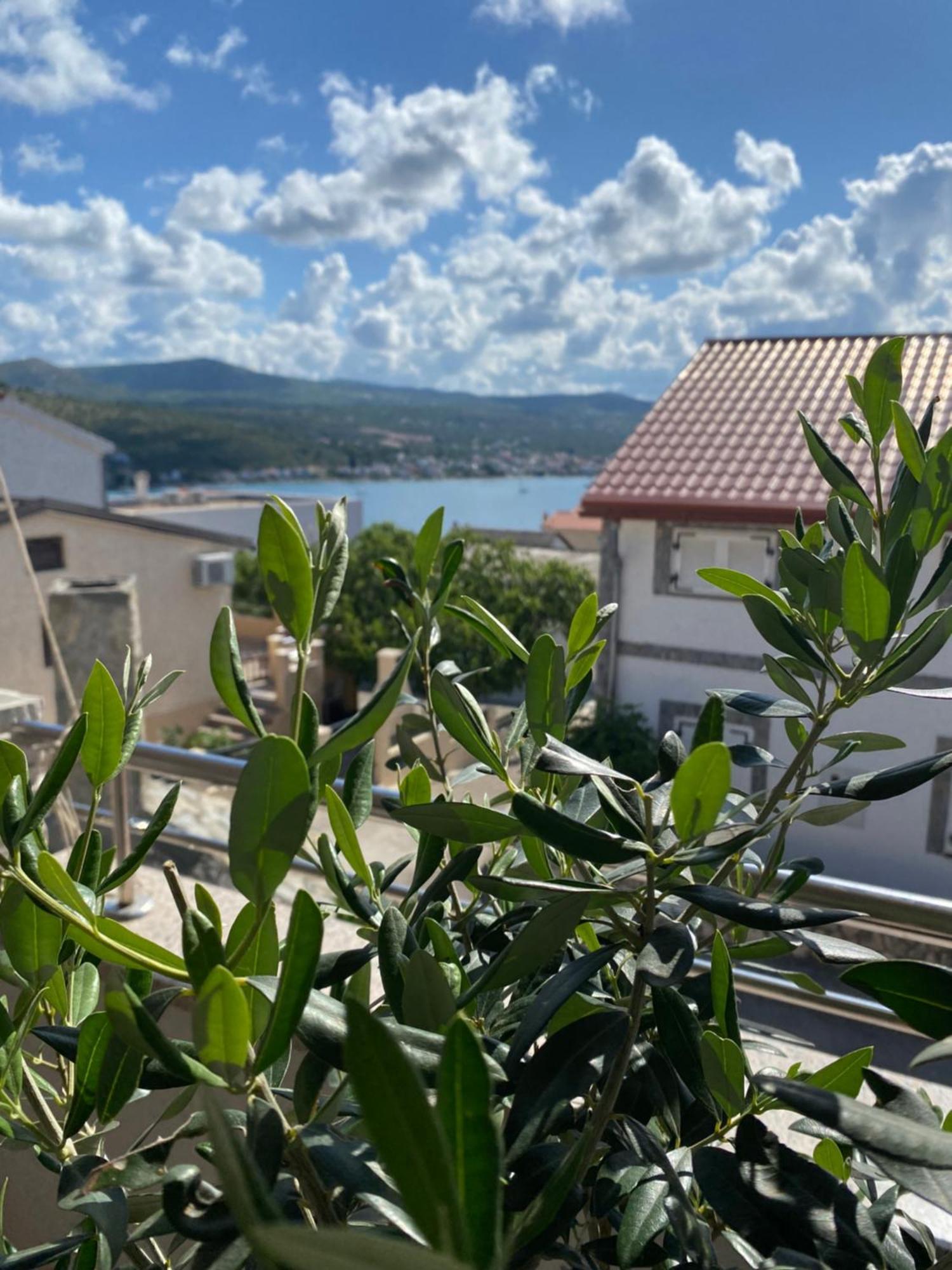 Apartment Tina Rogoznica  Zewnętrze zdjęcie